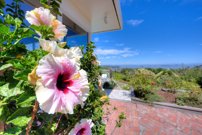 Hibiscus on side deck off master bedroom