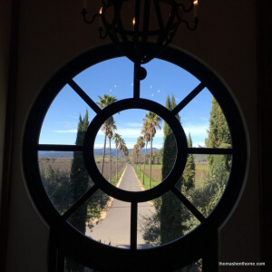 Looking out window at Round Pond Estate