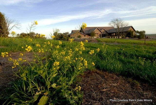 photo of Ram's Gate main building with yellow mustard flower in foreground