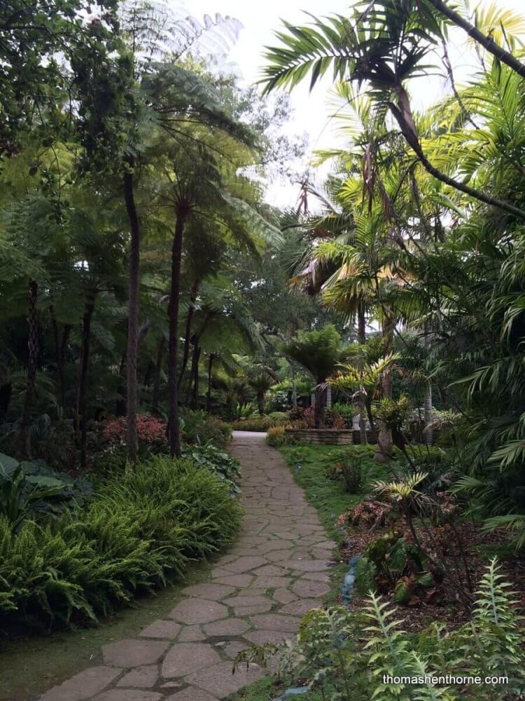 photo of a path at Lotusland