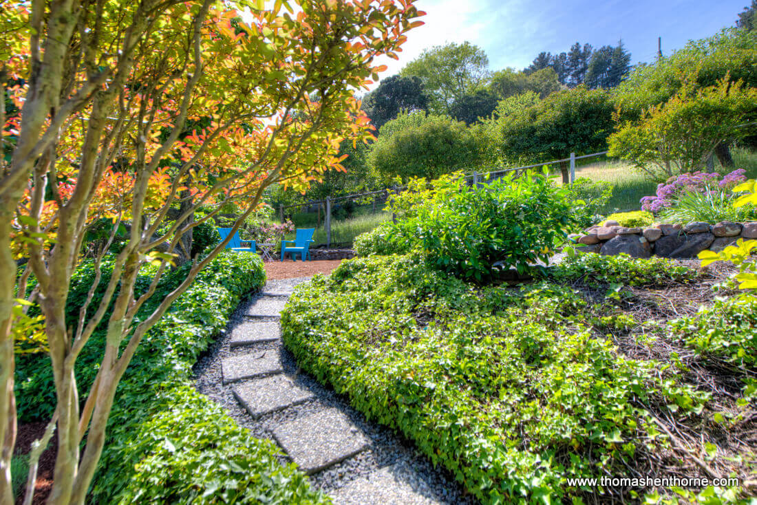 back garden path