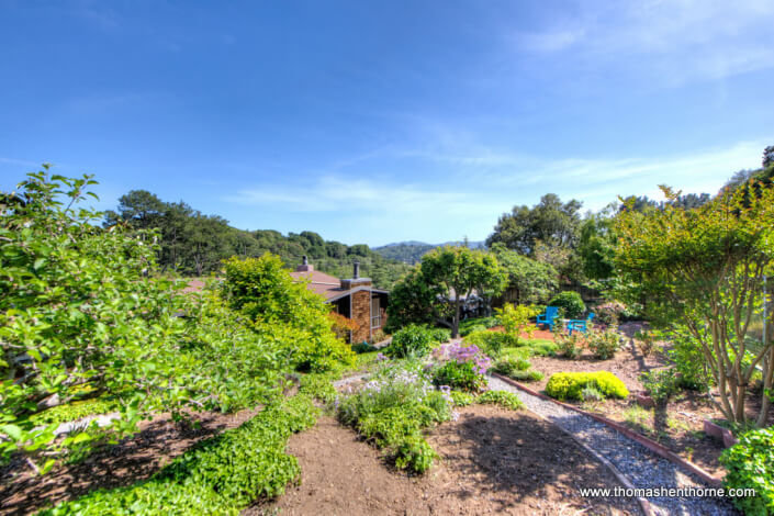 Back Yard With House in Distance 21 Underhill Mill Valley