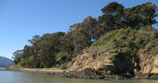 marin islands shoreline