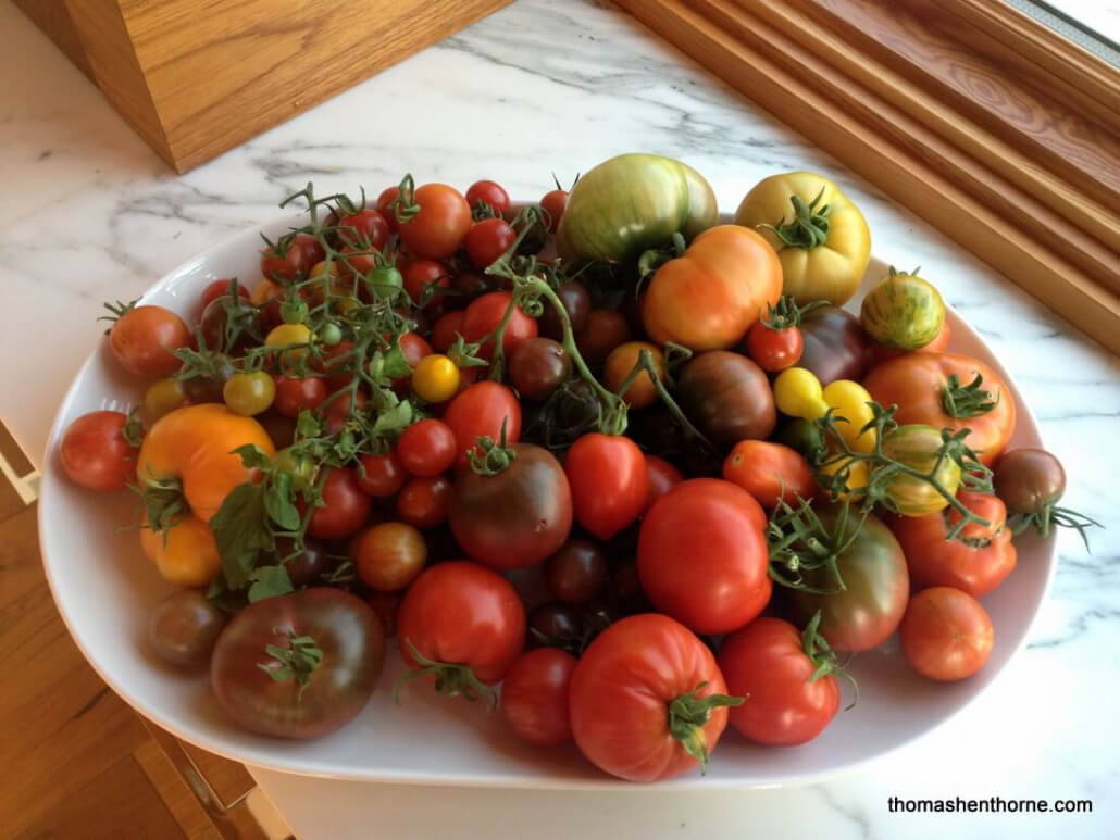 assortment of ripe tomatoes on plate