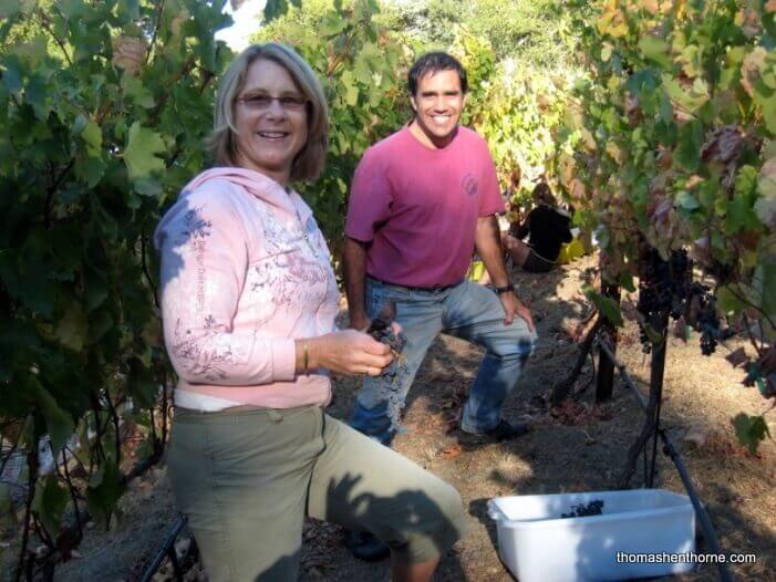 San Anselmo Residents Ginny McGraw and John-Michael Selzer Busy Harvesting