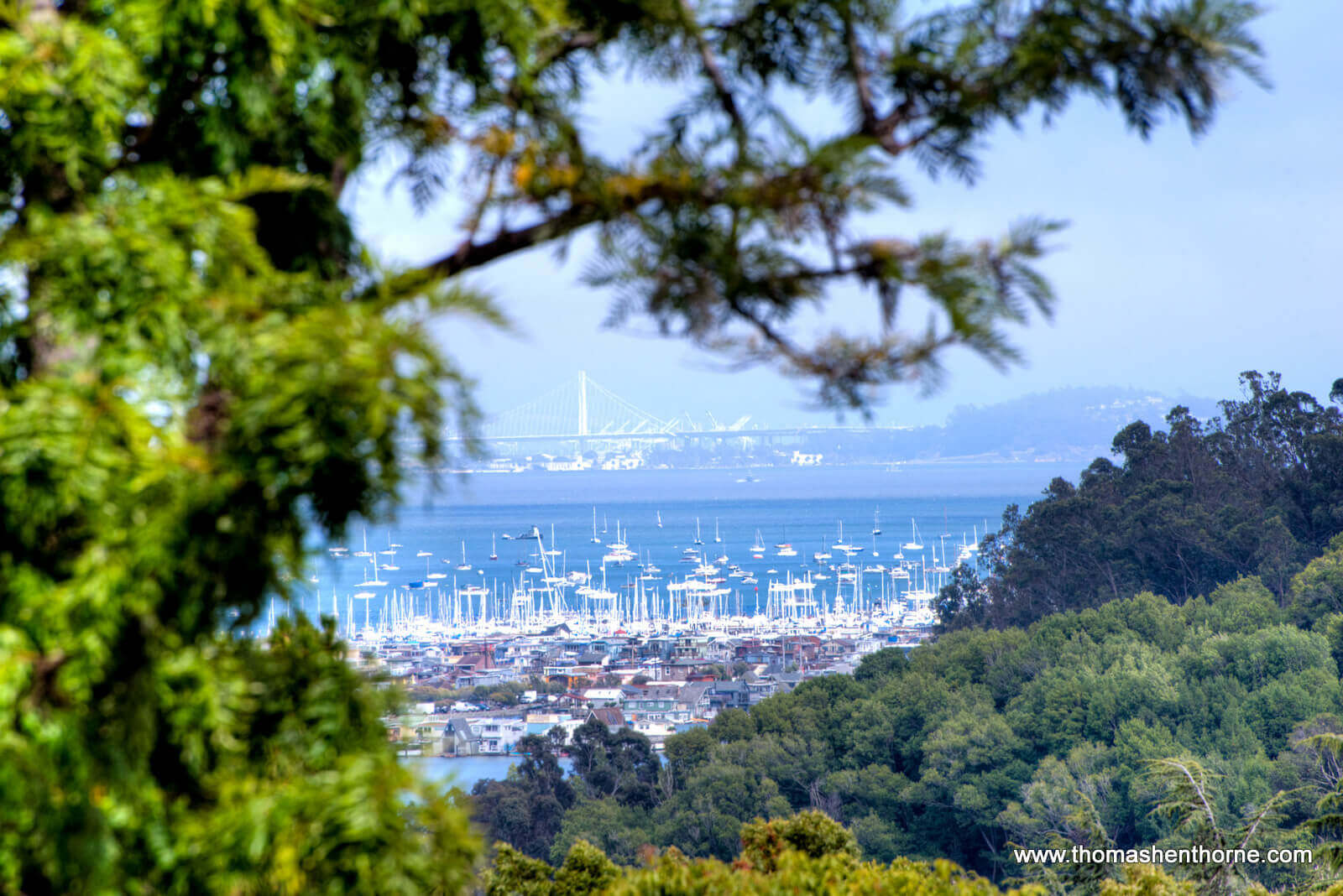 Telephoto view of bay bridge and bay in distance