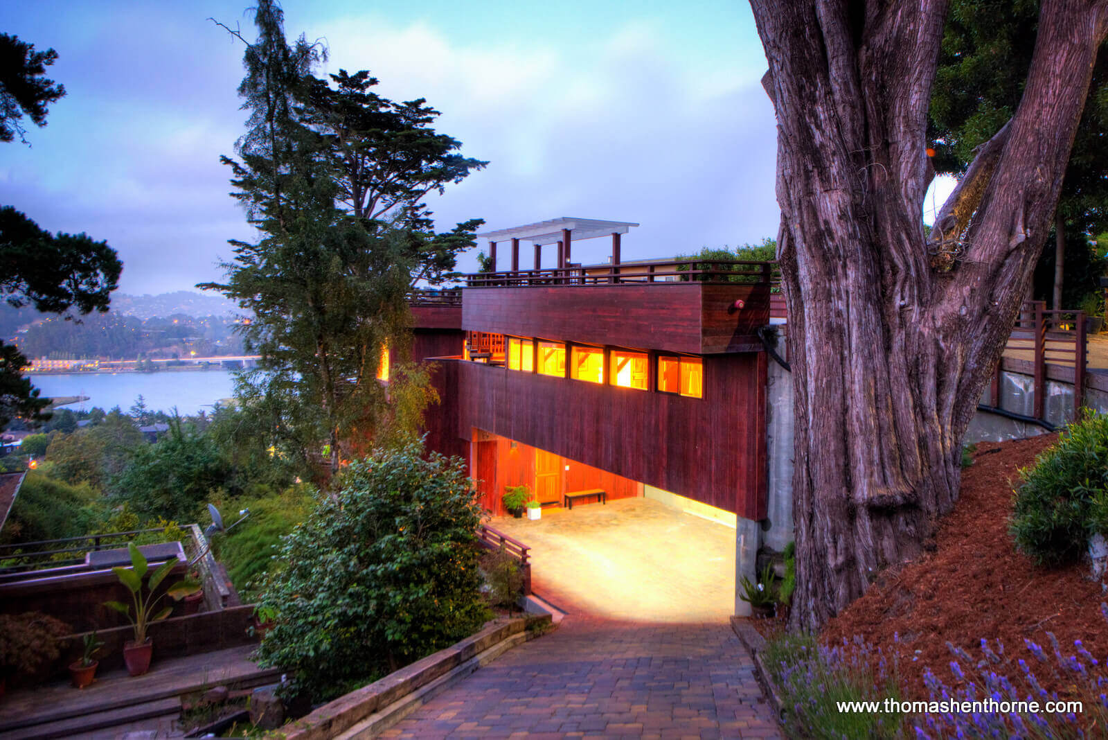 Front driveway of 239 1/2 Cleveland Ave in Mill Valley