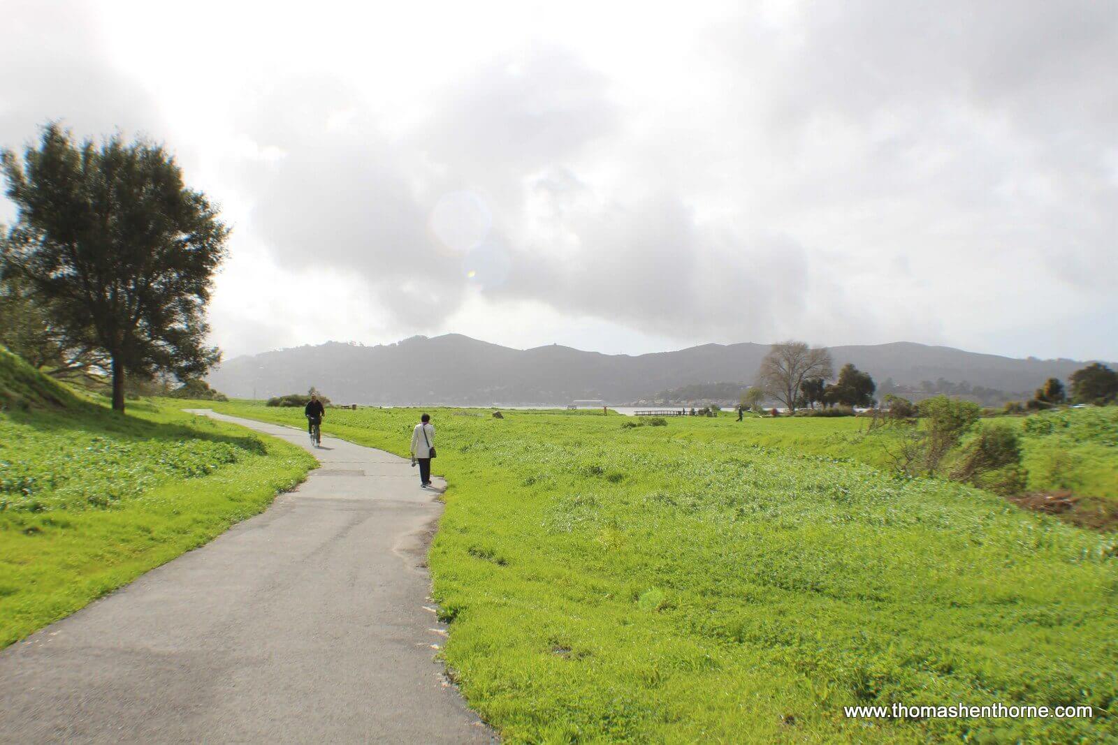 Walking path in Tiburon, California