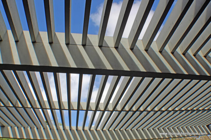 Trellis and Sky 2 in Tiburon California