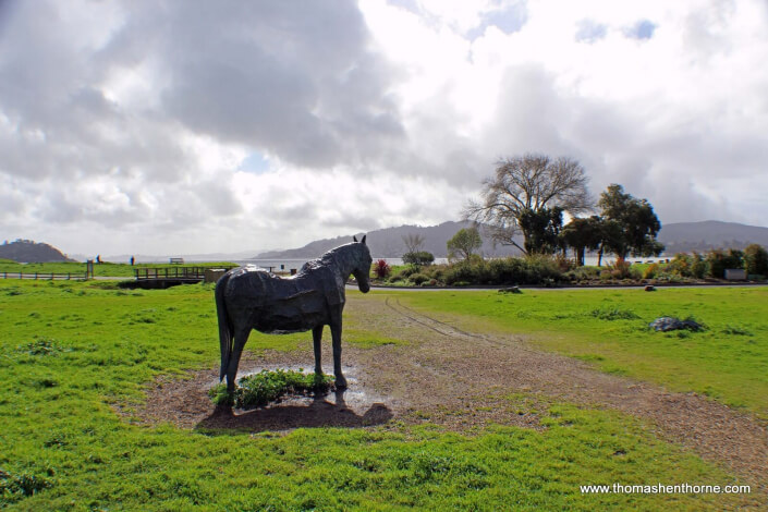 Sculpture of Blackie the Horse at Blackie's Pasture park in Tiburon, California