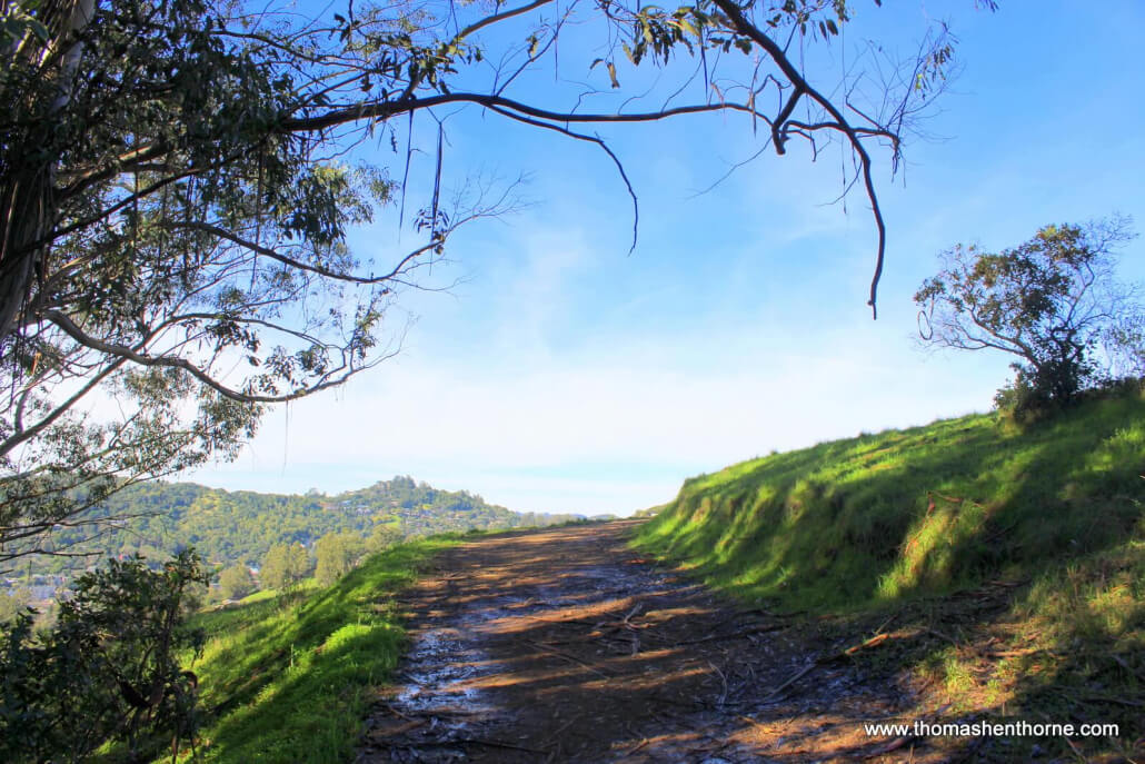 Photo of trail incline with green grass and blue sky
