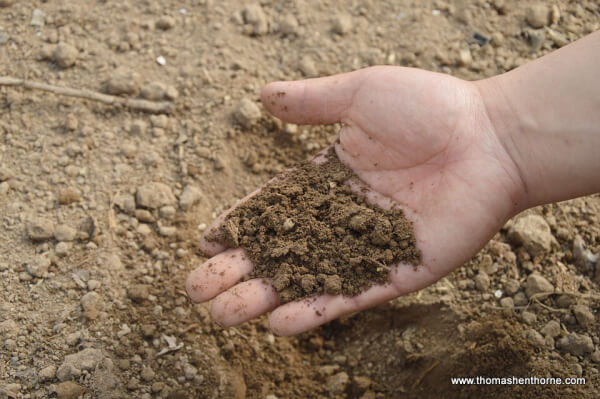 photo of hand in soil