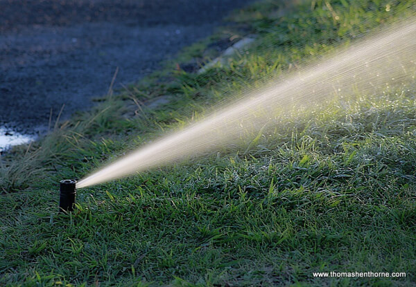 photo of spray irrigation