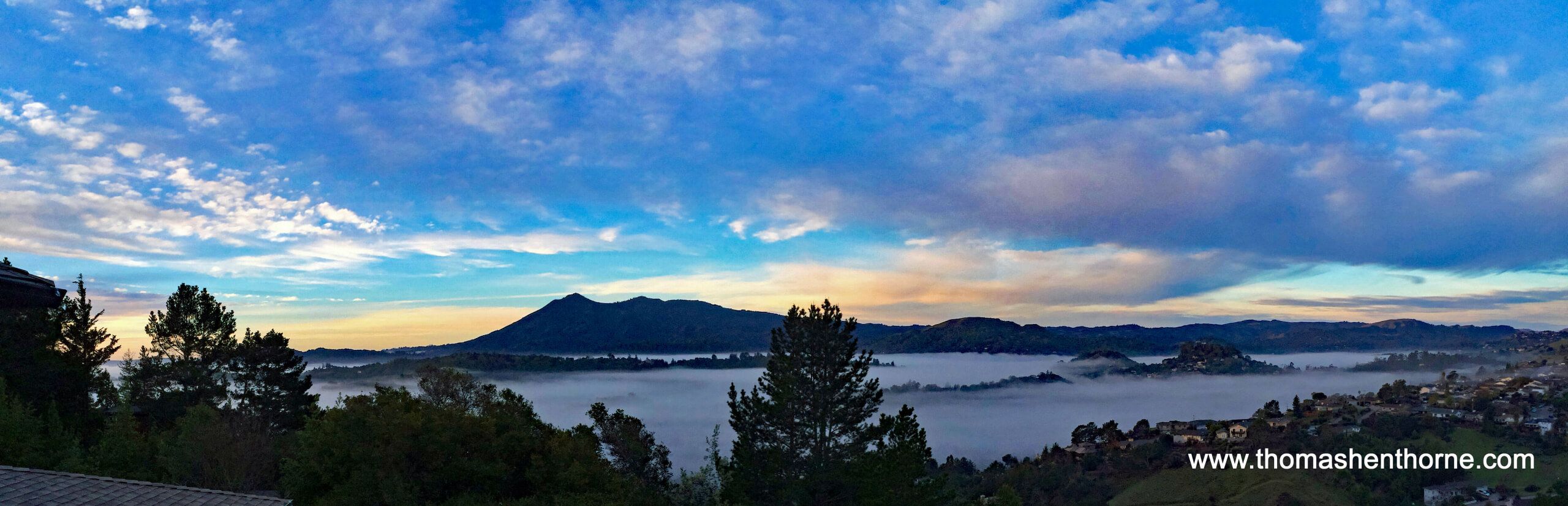 Panoramic View of Mt. Tamalpais