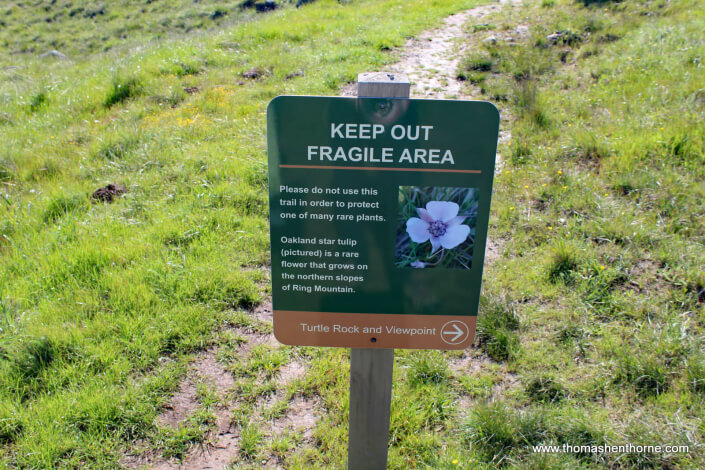 Fragile area sign keep out