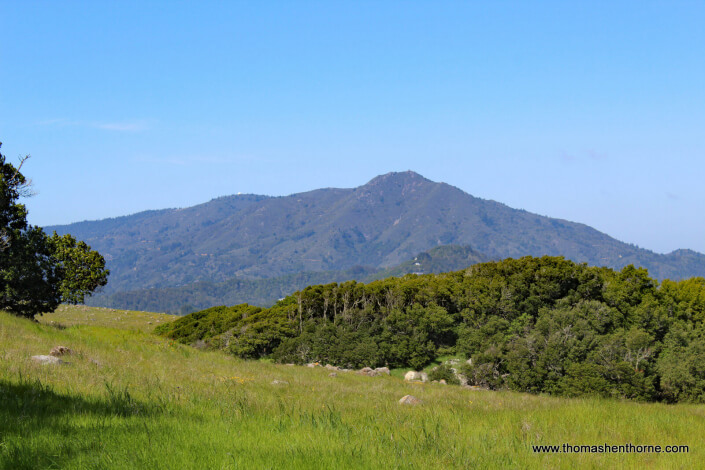 View of Mt. Tamalpais from Ring Mountain Trail
