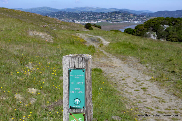 Trail marker for the Phyllis Ellman Trail