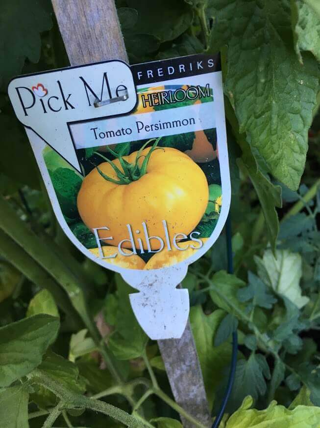 Persimmon Tomato label