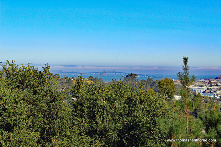 View of Richmond San Rafael Bridge