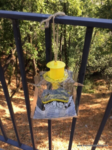 Marin yellowjacket trap