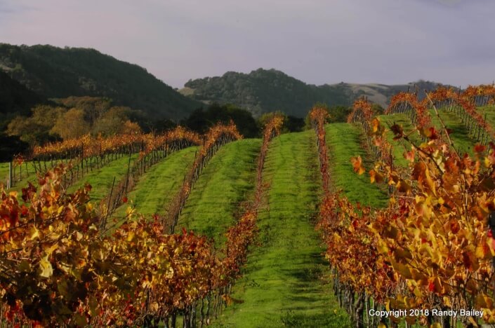 Artesa Winery Late Afternoon