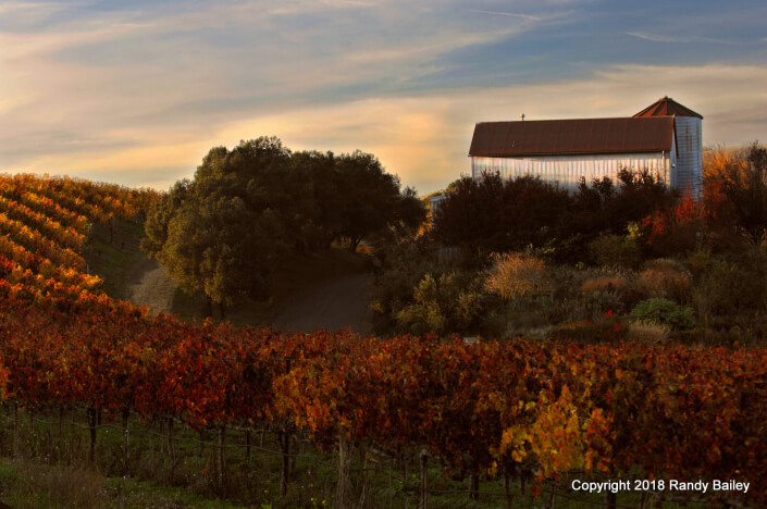 Carneros Magic Light