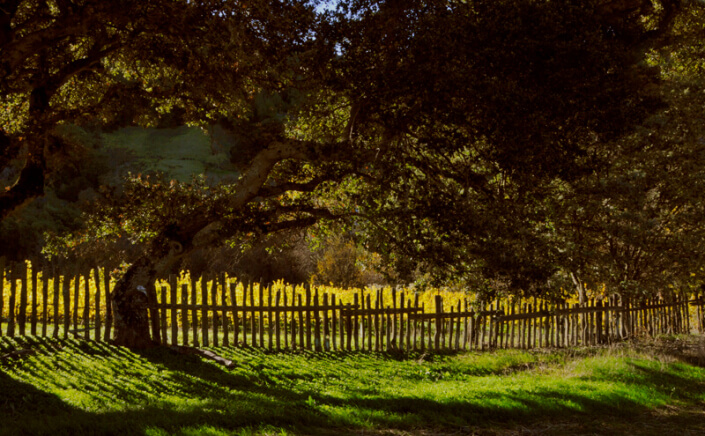 Henry Road Napa County