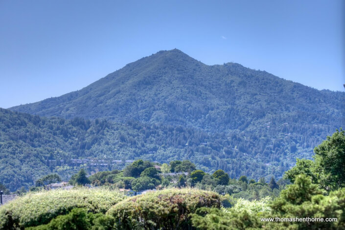 Mount Tamalpais