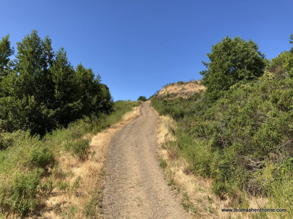 King Mountain Hike | Marin County Loop Hikes | Larkspur | Marin Hikes