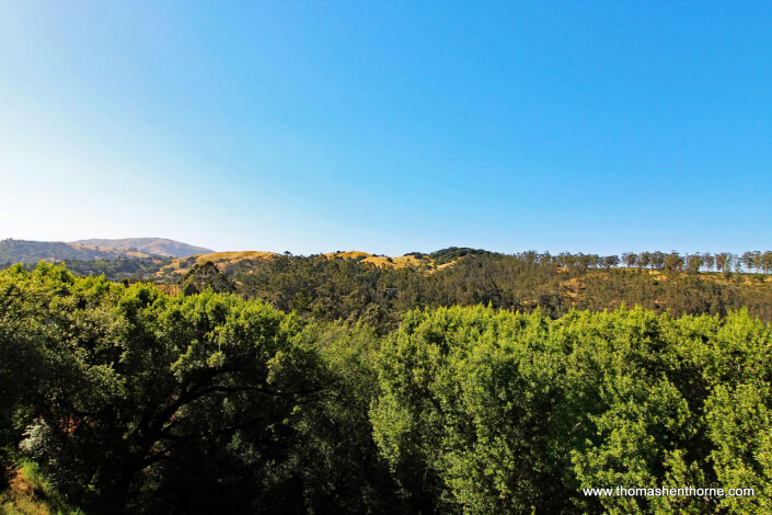 View from 4 Tilden Circle in San Rafael