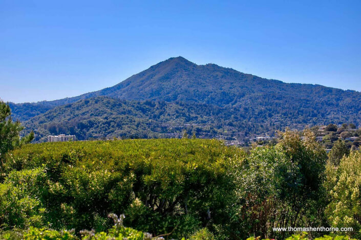 Mt. Tamalpais as seen from San Rafael