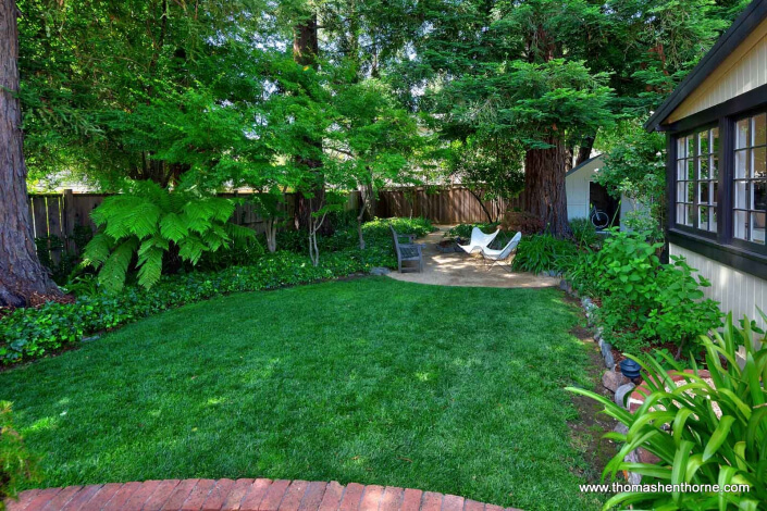 Lawn with redwood trees