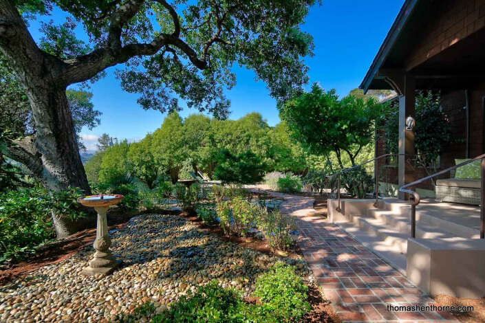 Garden with bird bath