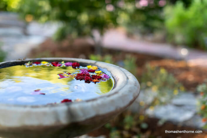 birth bath with flowers