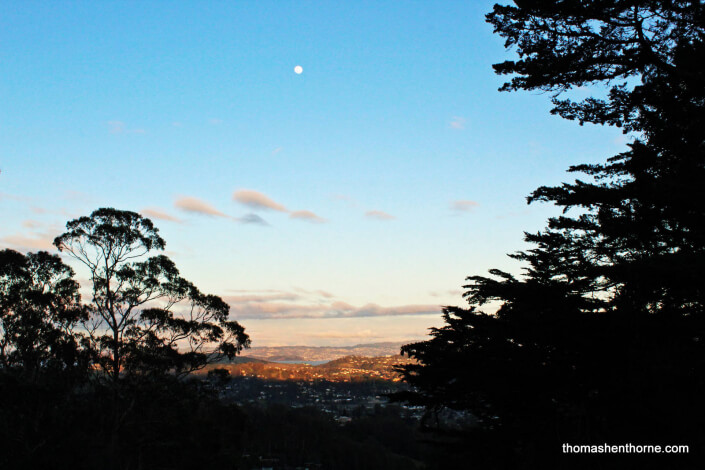 View from 125 Bayview in Mill Valley