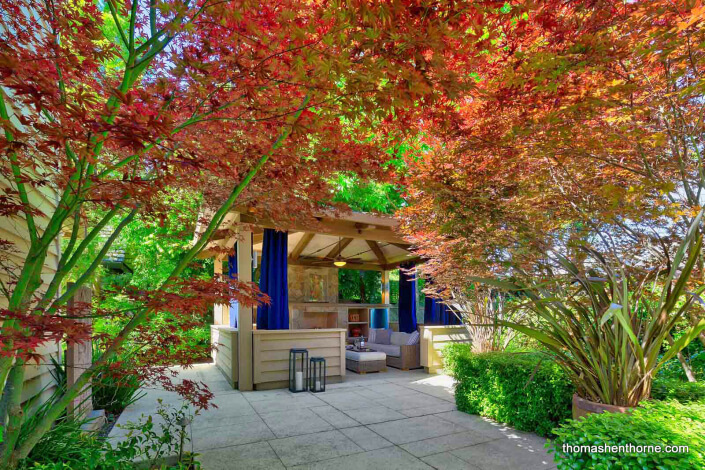 View of outdoor living room and Japanese Maples