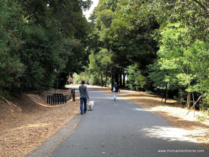 Larkspur-Corte Madera Path in Larkspur, California