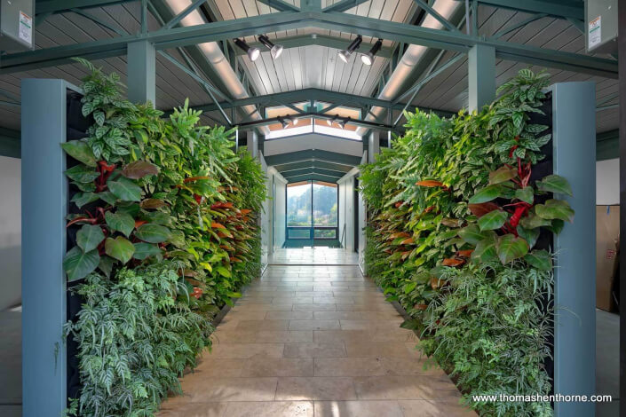 Living wall at home entry