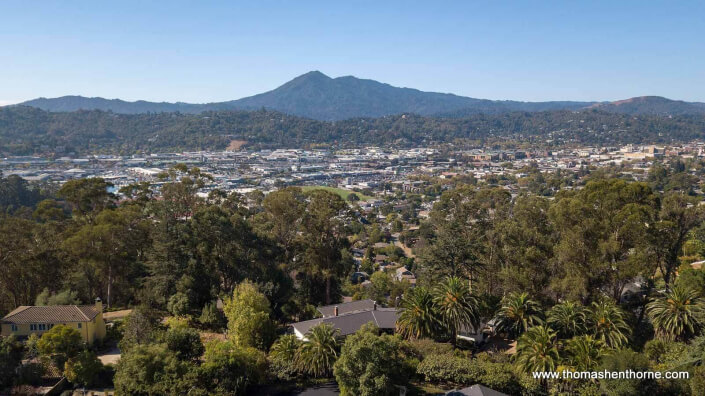 Mt. Tamalpais