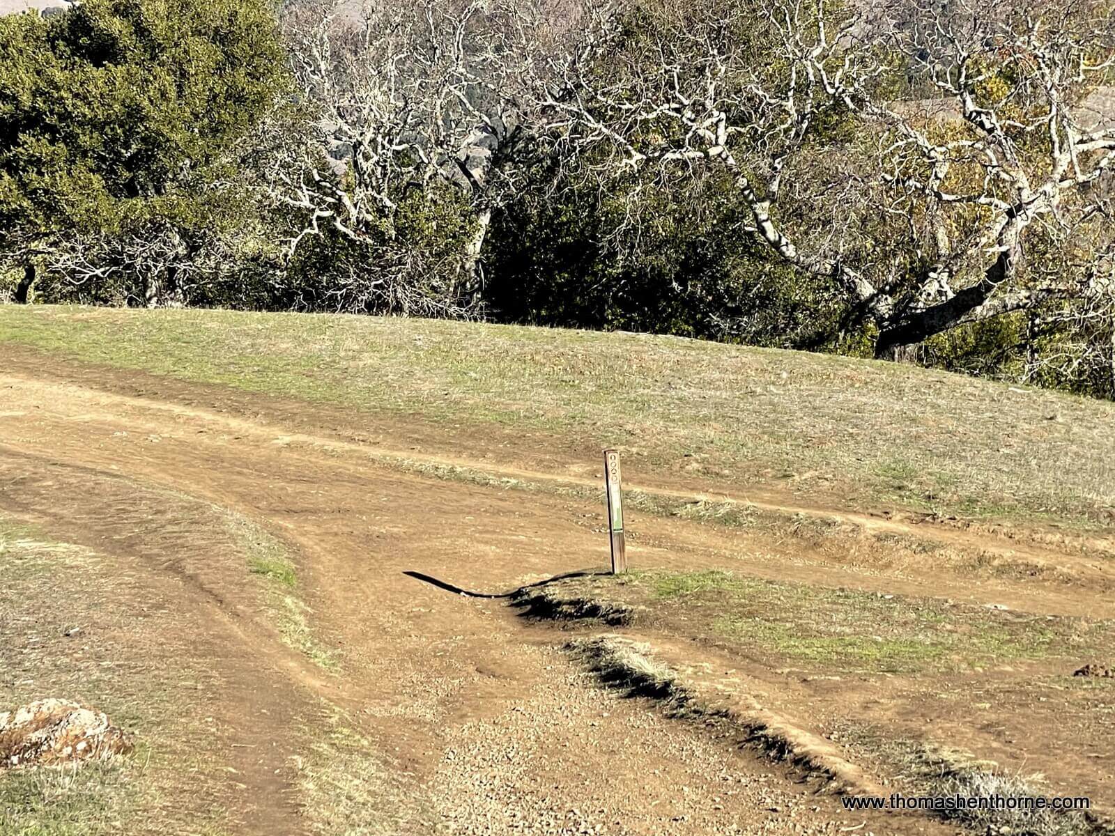 trail marker to loop around on Irving Fire Road