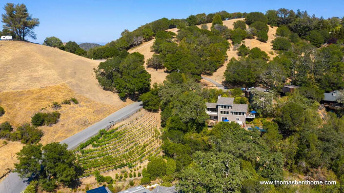 aerial view of 390 Fawn Drive San Anselmo