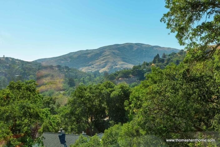 view from 390 Fawn Drive San Anselmo