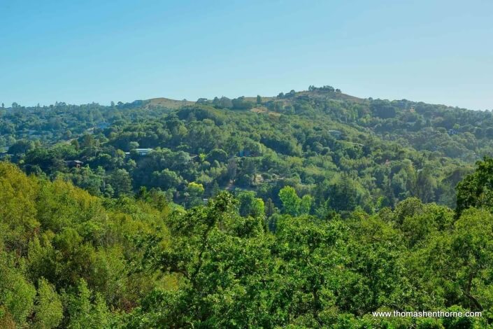 view from 390 Fawn Drive San Anselmo