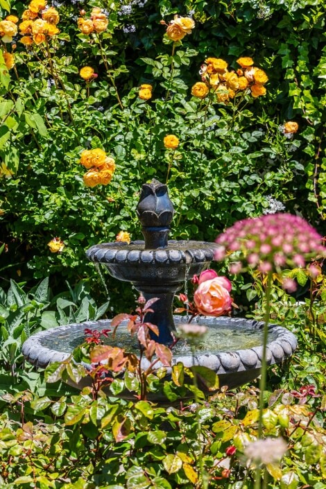fountain with two levels surrounded by flowers