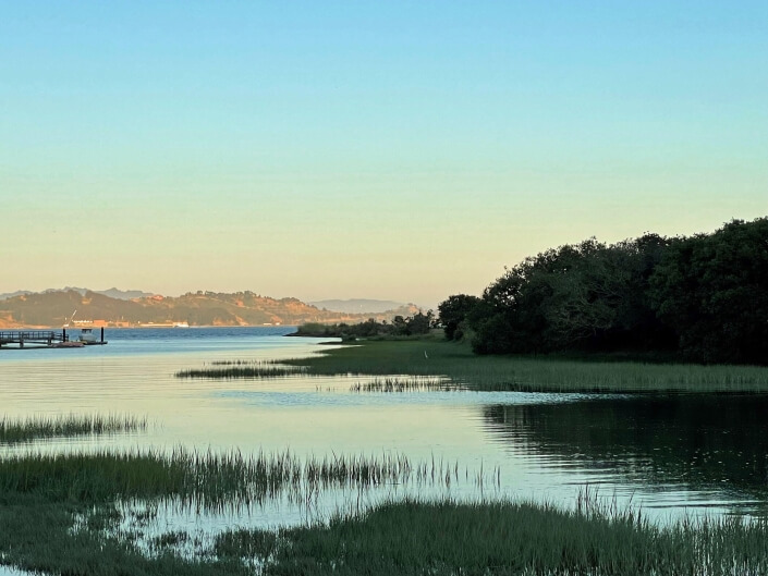 Marsh in San Rafael at twilight photo by Thomas Henthorne