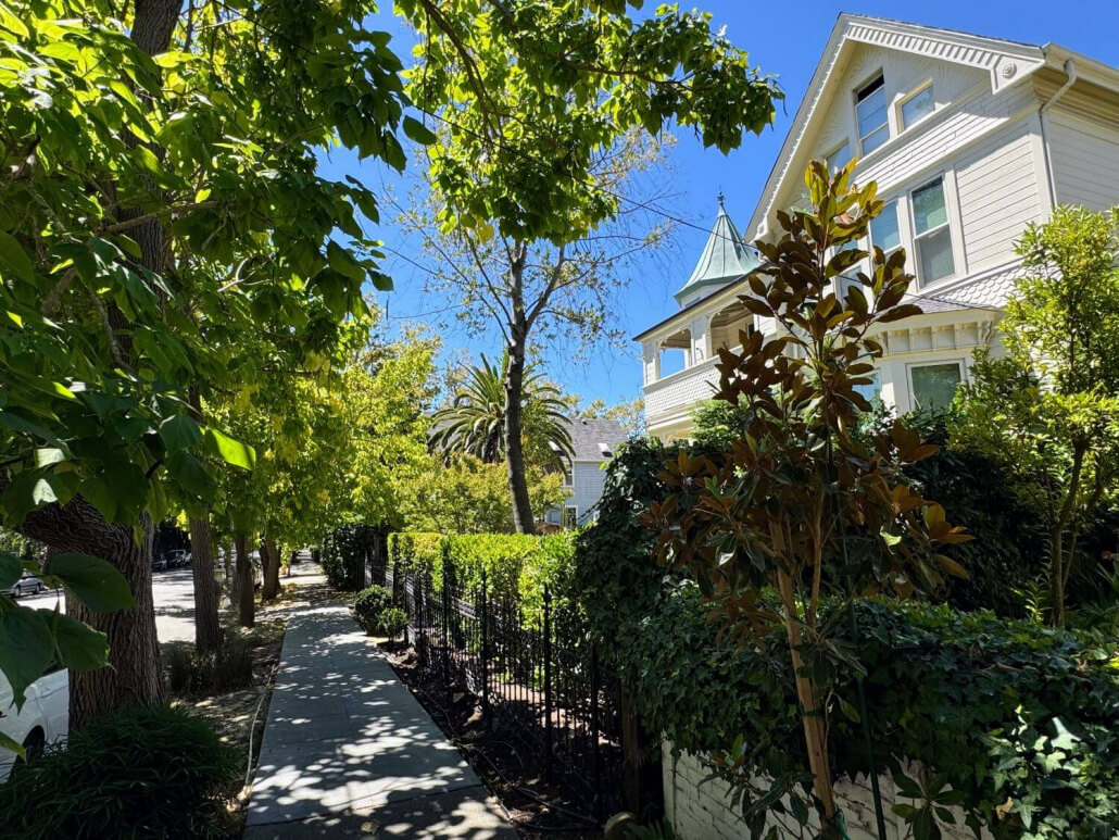 The Forbes Neighborhood of San Rafael