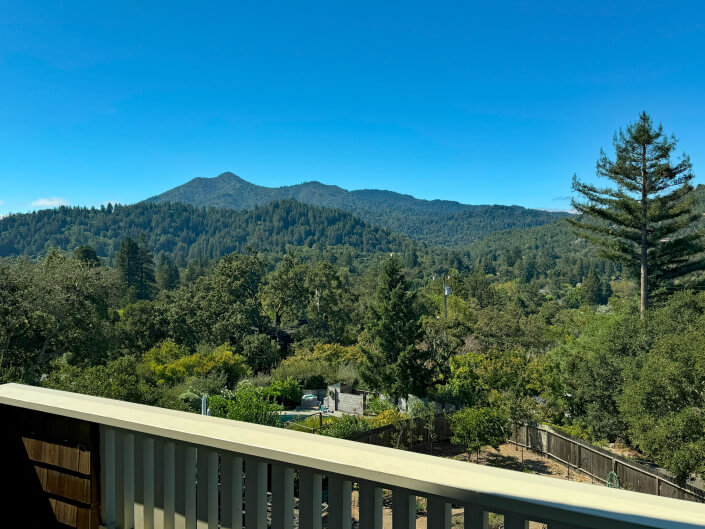 Mt. Tamalpais