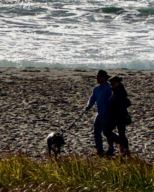 A beautiful day at Rodeo Beach!
#rodeobeach #marincounty #lovewhereyoulive